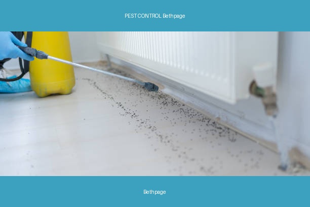 PEST CONTROL Bethpage
